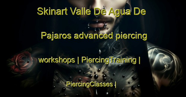 Skinart Valle De Agua De Pajaros advanced piercing workshops | PiercingTraining | PiercingClasses | SkinartTraining-Mexico